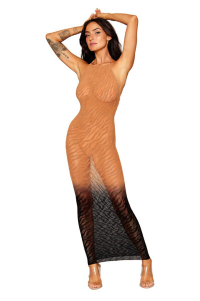 Bodystocking Gown image 1