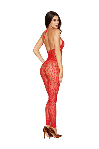 Rhinestone Bodystocking Dmnd